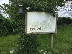 IMG_3260