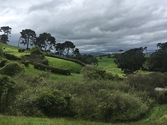 IMG_3295