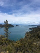 IMG_3819