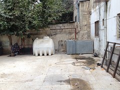 IMG_4920