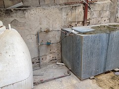 IMG_4921
