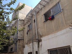 IMG_4922