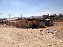 Sheep and goat shed (ready to be eaten for Eid; the national week of celebration)