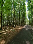 IMG-20240626-WA0006