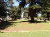 The esplanade reserve