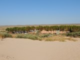 Mesa's Camp 2
