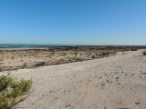 Hamelin Pool
