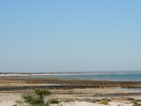 Hamelin Pool 2