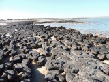 Hamelin Pool 6