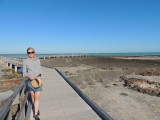 Ander model Hamelin Pool