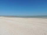 Shell Beach 3