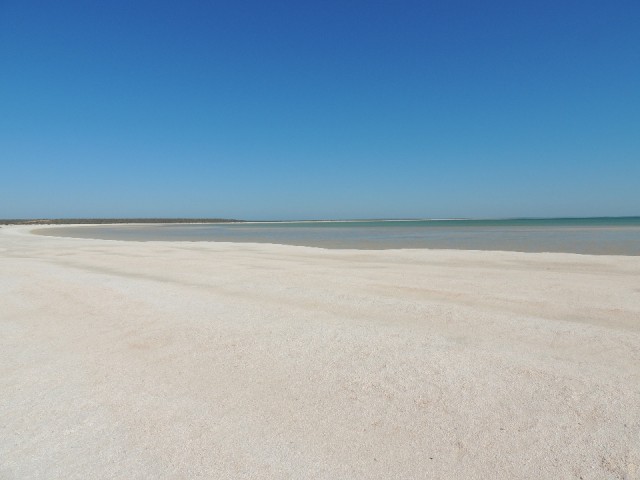 Shell Beach 3