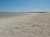 Shell Beach 5