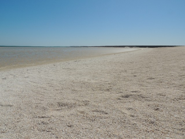 Shell Beach 5