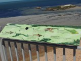 Eagle Bluff info