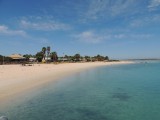 Monkey Mia Beach