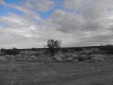 Camera testen