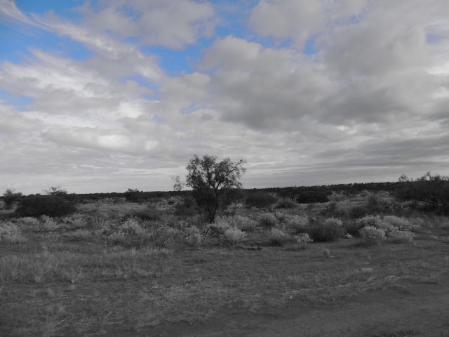Camera testen