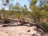 Kalbarri NP Ross Graham lookout 4