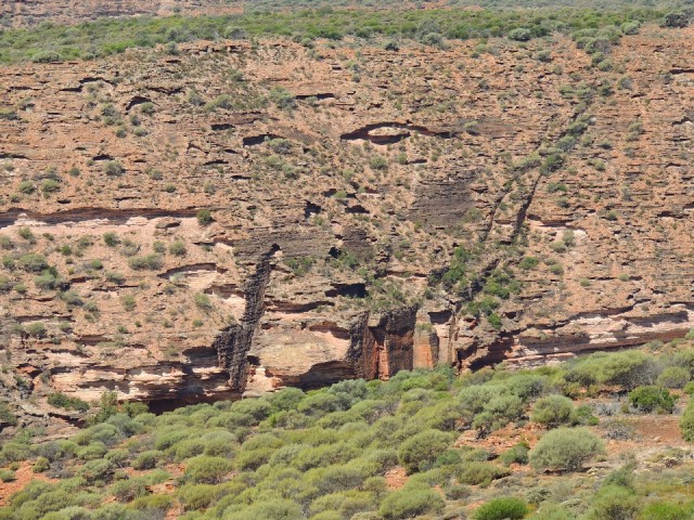 Natures window 1