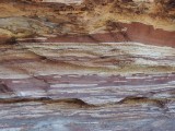 Natures window 6