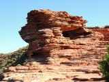 Natures window 10