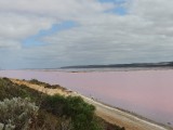 Pink lake 1