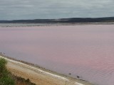 Pink lake 2