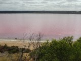 Pink lake 3