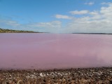 Pink lake 4