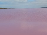 Pink lake 5
