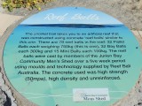 Verklaring Reef Balls