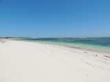 Hangover Bay