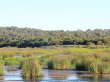 Yanchep NP