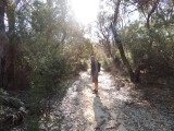 Yanchep NP Trail