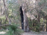 Yanchep NP Trail 3