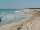 Cottesloe Dog Beach