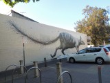 Street-art Fremantle 3