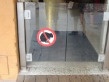 No Quokka in the shops