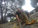 Quokka 4