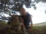 Quokka 5