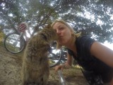 Quokka 6