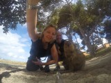 Quokka 9