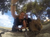 Quokka 10