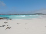 Lucky Bay 7