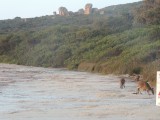 ochtendwandeling van de roo's op het strand van Lucky Bay