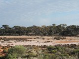 Nullarbor 3