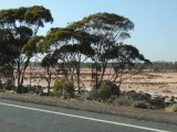 Nullarbor 5