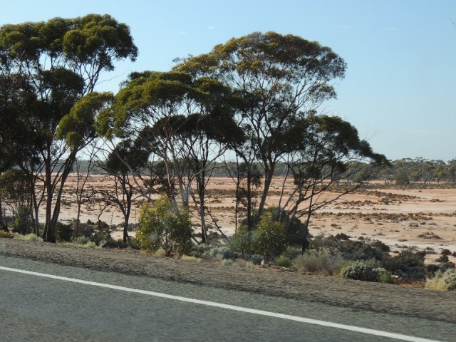 Nullarbor 5
