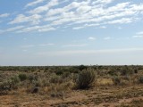 Nullarbor 7